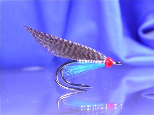Fish4Flies Medicine