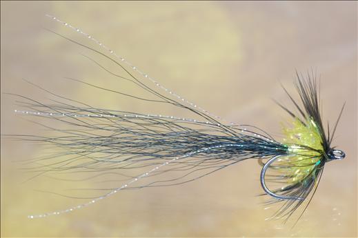 Fish4Flies Fritz Black and Yellow