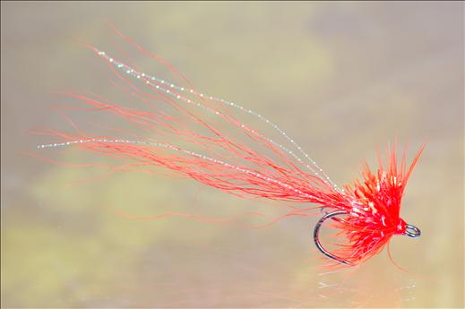 Fish4Flies Fritz Orange