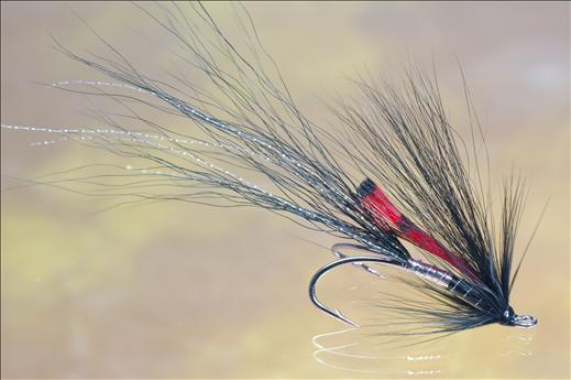 Fish4Flies Black Ally's Shrimp