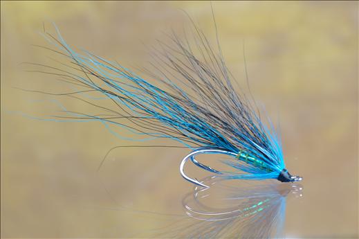 Fish4Flies Editor Ally