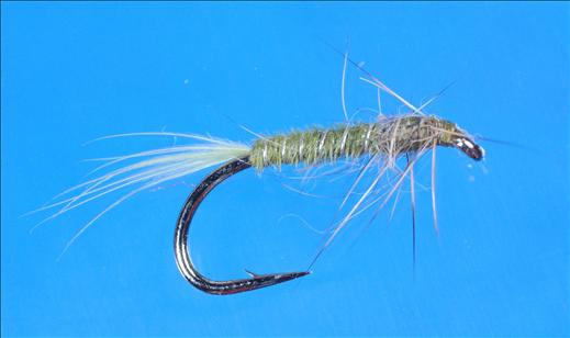 Fish4Flies Olive Buzzer Nymph