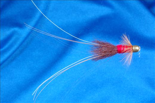 Fish4Flies Francis Red