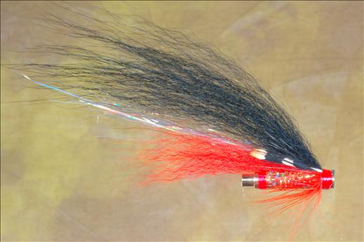 Fish4Flies Orange Templedog