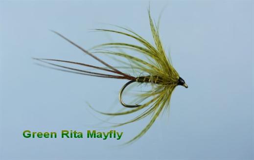 Green Rita Mayfly