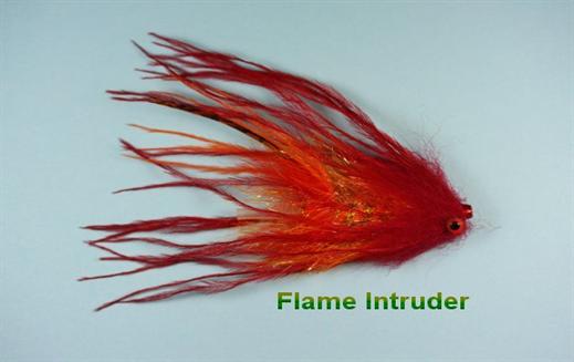 Flame Intruder