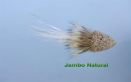 Jambo Wake Fly
