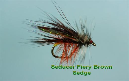 Seducer Fiery Brown Sedge