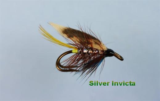 Silver Invicta