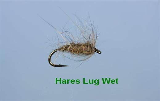 Hares Lug Wet