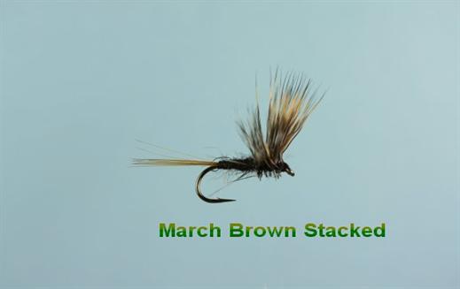 March Brown Stacked