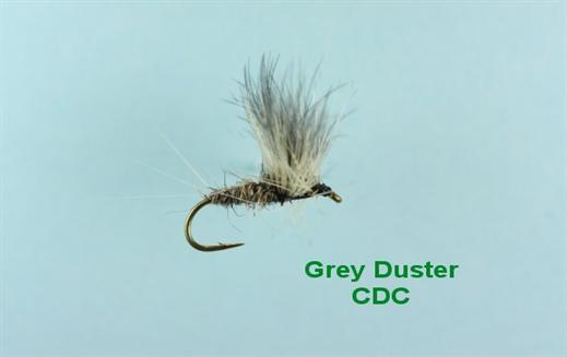 Grey Duster CDC