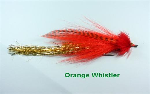 Orange Whistler