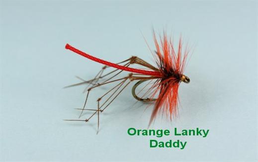 Orange Lanky Daddy