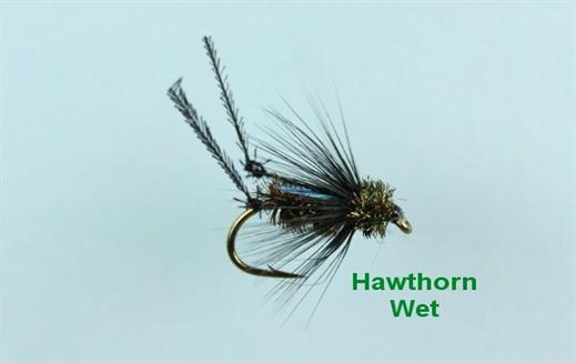 Hawthorn Wet