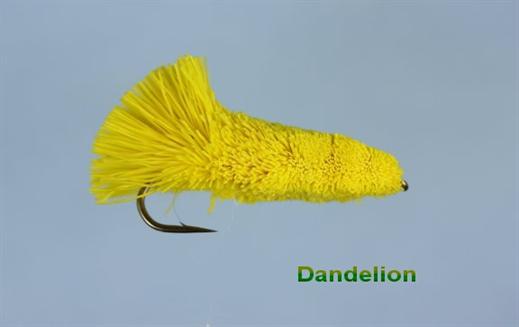 Dandelion Longshank