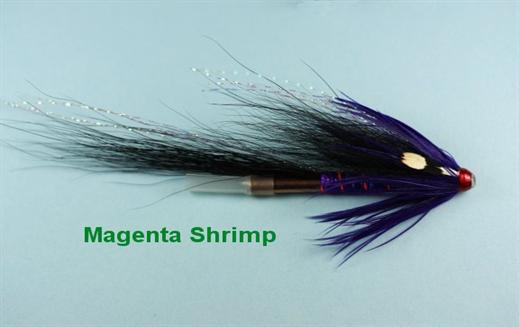 Magenta Shrimp JC