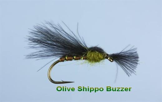 Olive Shipmans CDC Buzzer