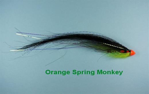 Orange Spring Monkey JC