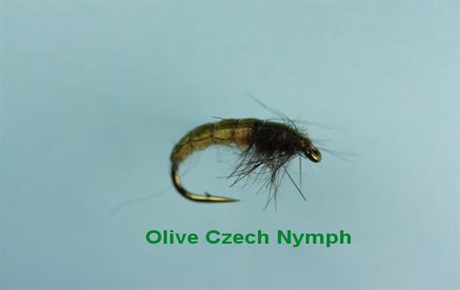 Czech Olive Nymph