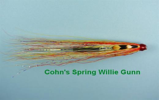 Cohns Spring Willie Gunn