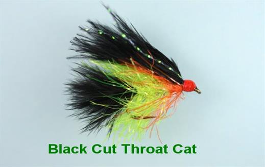 Black Cut Throat Cat