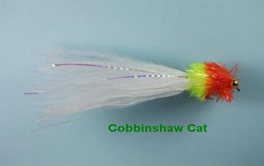 Cobbinshaw Cat