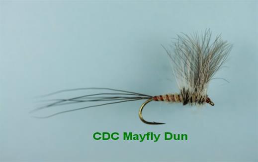 CDC Mayfly Dun