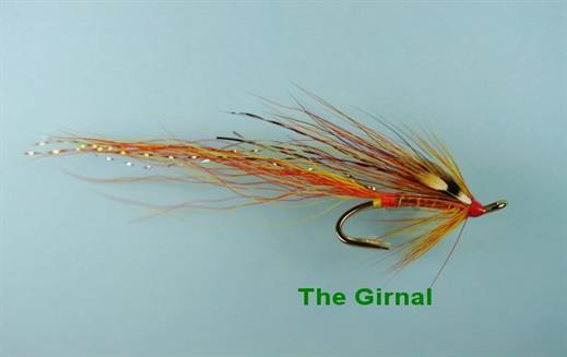 Girnal Shrimp