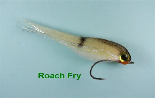Mini Roach Fry