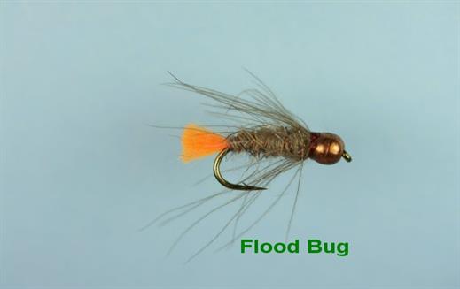 Flood Bug
