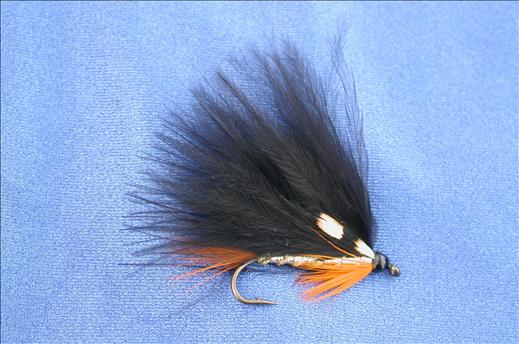 Fish4Flies Black & Orange