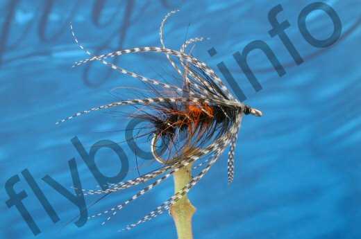 Fish4Flies Widgeo