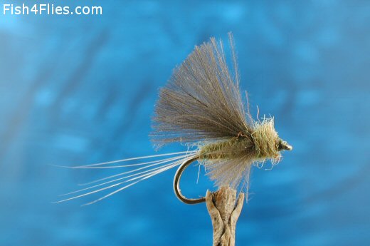 CDC Tailwater Dun Blue Winged Olive