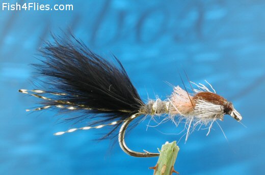 Fish4Flies Mackay