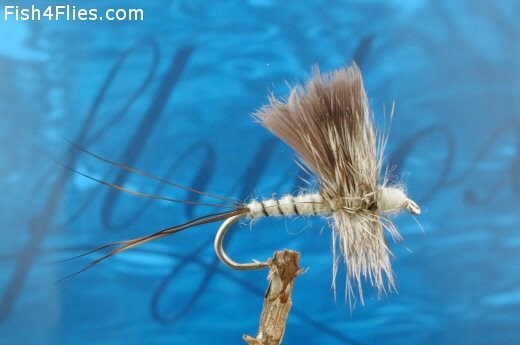 Mayfly Silhouette