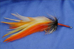 Robin's Tarpon Streamer