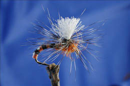 Morgan's Parachute Buzzer, Orange