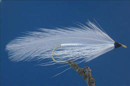 Rangeley Favourite