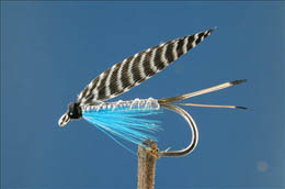 Teal, Blue & Silver