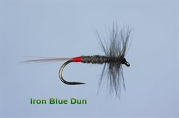 Iron Blue Dun
