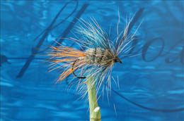 Hairy Sqirrel Blue & Grey Bomber