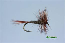 Adams