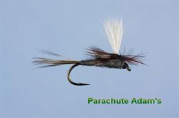 Parachute Adams