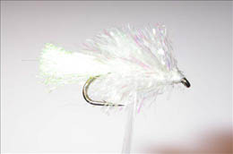 Rogerstestfly