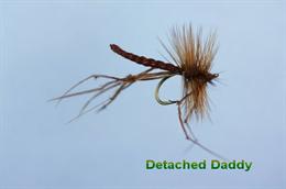 Detached Daddy