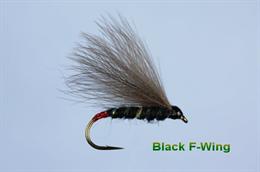Black F Wing 