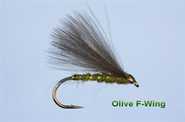  Olive F Wing