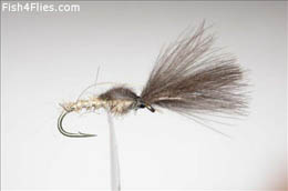 Shuttlecock Hare's Ear