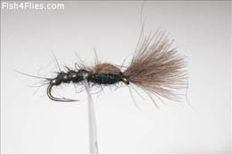 Shuttlecock Black